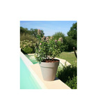 Pot de fleurs soleilla - rond - ø 39,2 x 35,8 cm - taupe