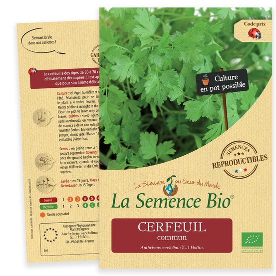 Cerfeuil commun - graines bio