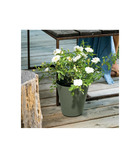 Pot de fleurs save r verde a réserve d'eau - coloris vert - 30cm