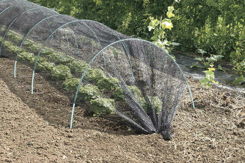 Filet d'ombrage ombranet en maille tricotée, 100% polyéthylène - 2 x 150 m - noir