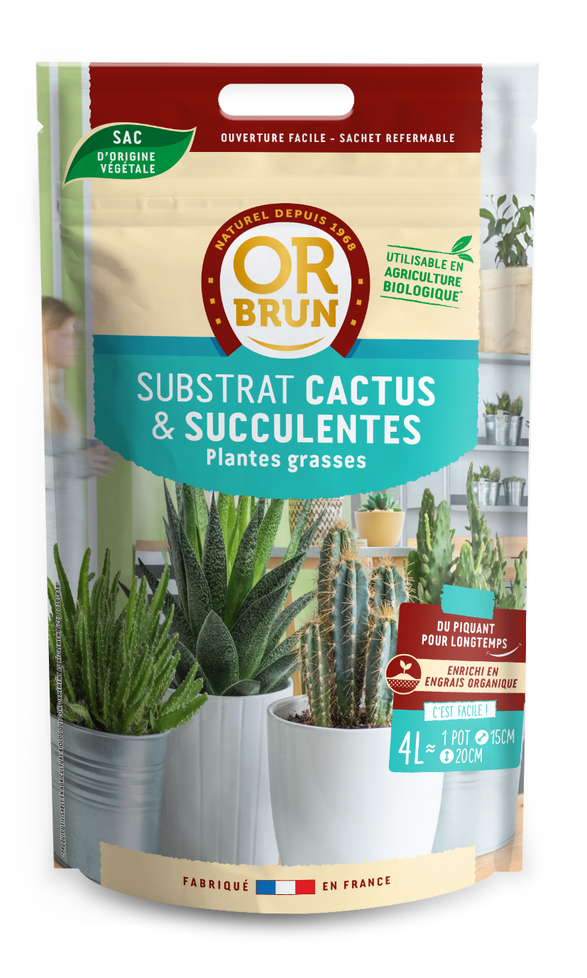 Obrtcac4 |substrat cactus & plantes grasses | 4l |favorise la croissan