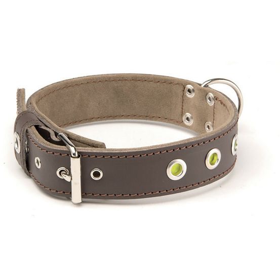 Collier en cuir pour chiens collection sportswear