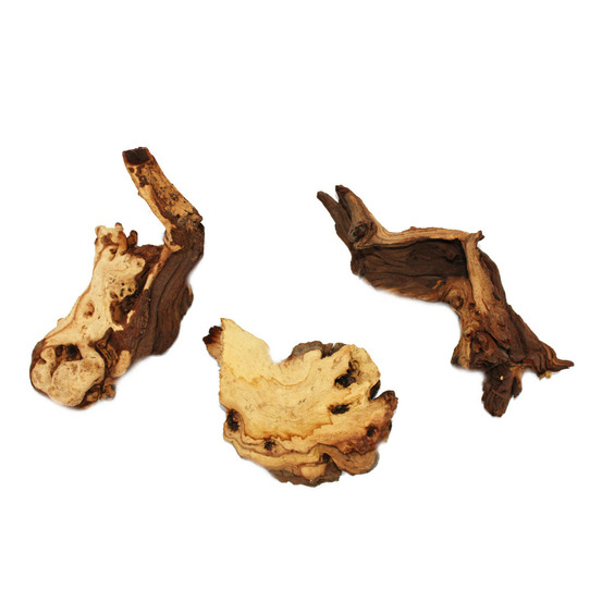 Racine de mopanie taille s 12-18 cm 3er set