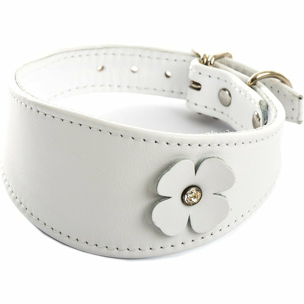Collier pour chiens en cuir avec strass swarovski pour whippets et lévriers