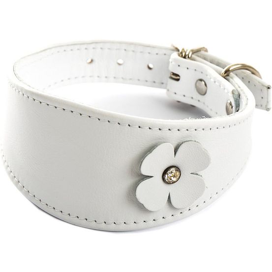 Collier pour chiens en cuir avec strass swarovski pour whippets et lévriers