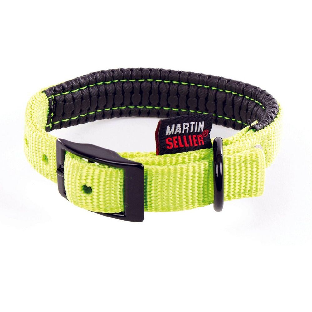 Collier pour chiens doublé de mousse