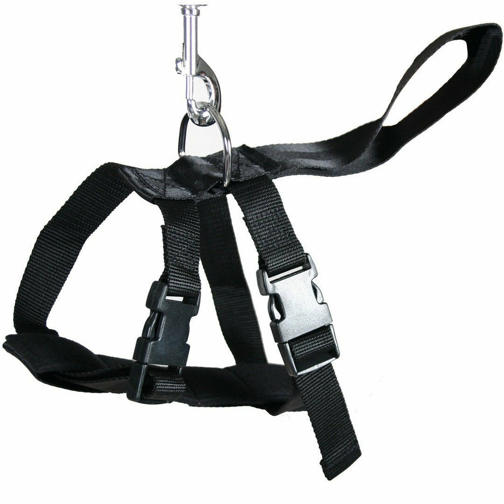 Harnais de voiture pour chiens