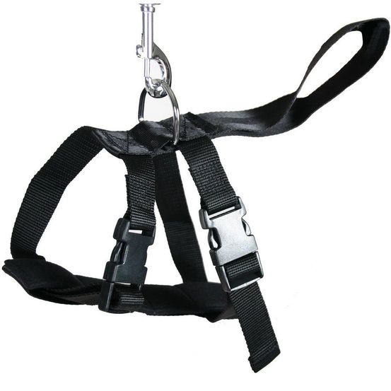 Harnais de voiture pour chiens
