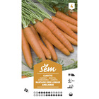 Graines potagères carotte demi-longue nant amel
