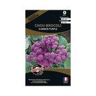 Graines potagères premium chou brocolis summer purple