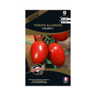 Graines potagères premium tomate allongée colibri