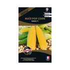 Graines potagères premium maïs pop corn