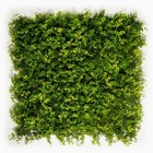 Mur végétal artificiel printania prix/m²