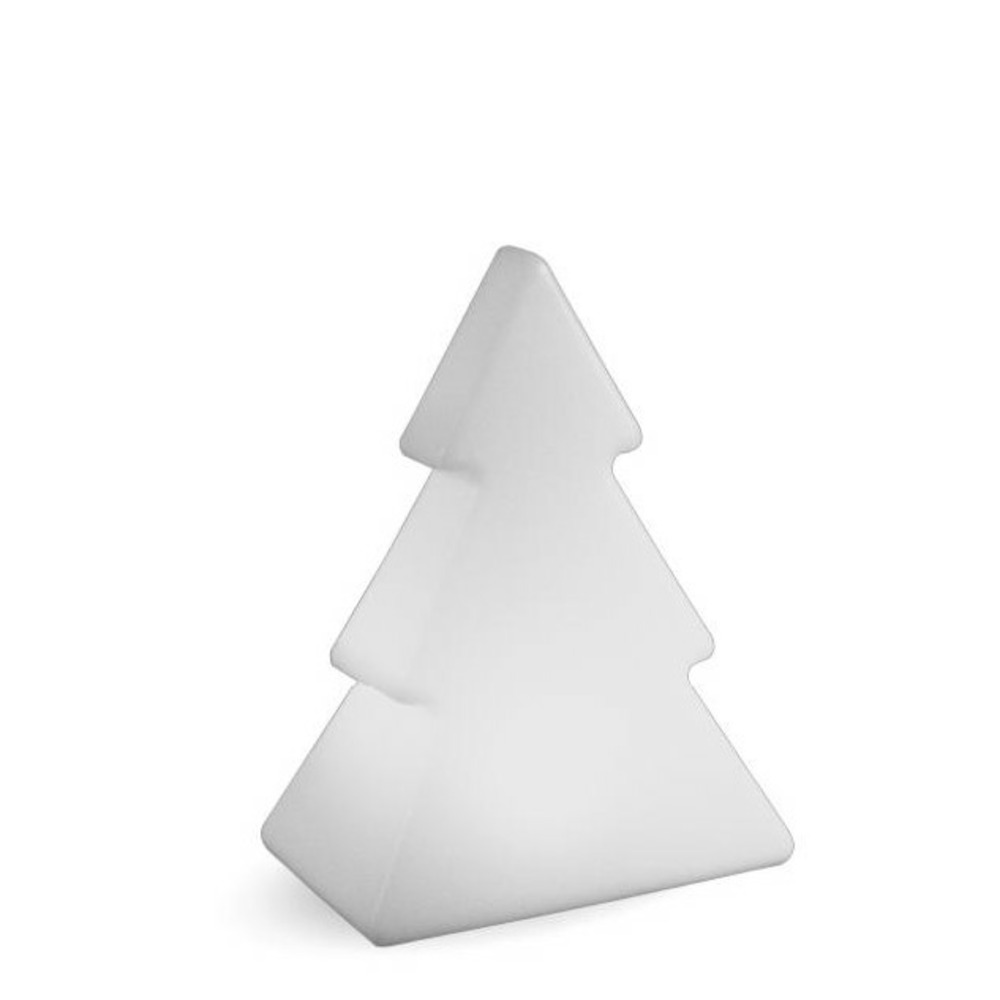 Sapin lumineux Pinus 100