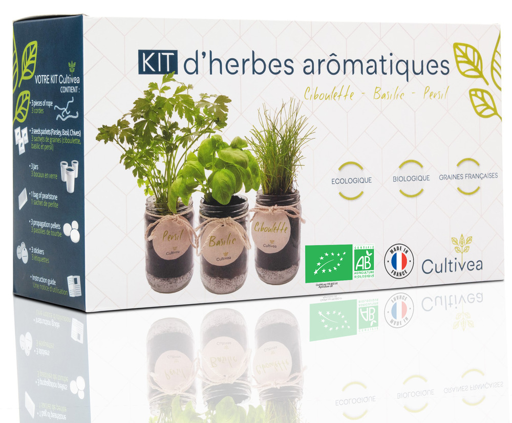 Kit de plantation Publicitaire herbes aromatiques Flowerpot - Cadoétik