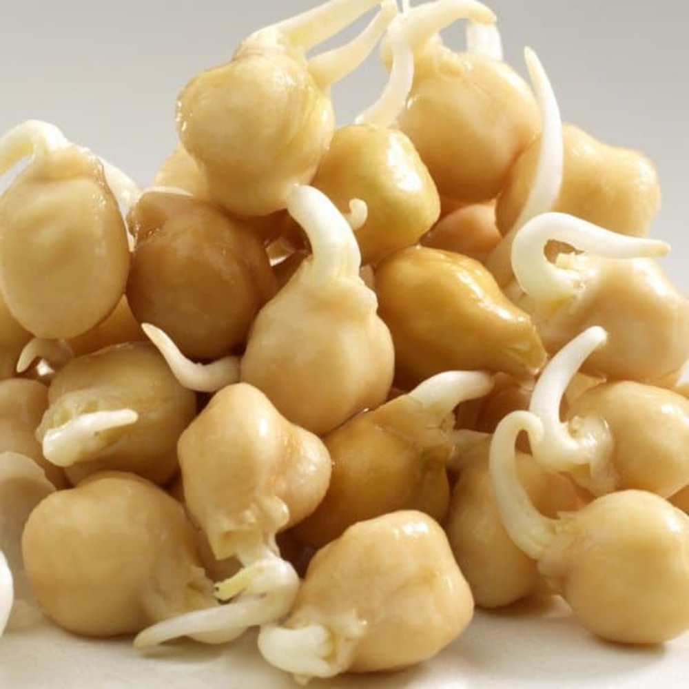 Graines à germer- pois chiche bio