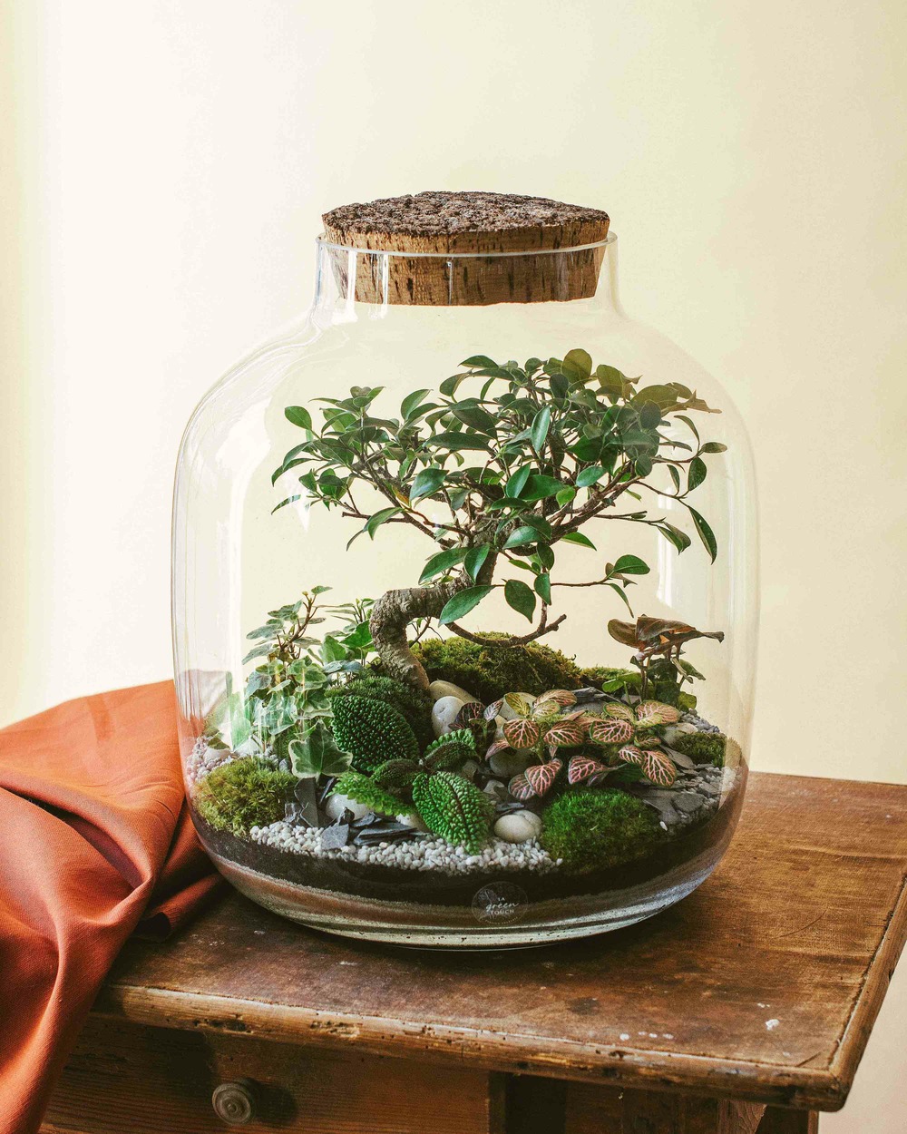 Rio terrarium xxl Truffaut