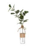 Composition artificielle branche d'eucalyptus vase en verre h 48 cm