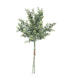 Bouquet d'eucalyptus artificiels h 64 cm
