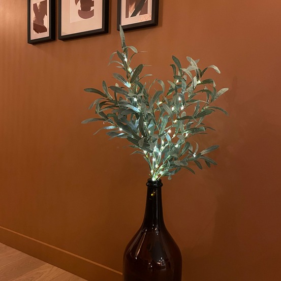 Branches lumineuses d'olivier à piles 60 microled blanc chaud - 60cm - int/ext - chromex
