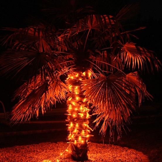 Guirlande aquarelle orange pastel - 2000 prolongeable - 200 led - intérieur/ extérieur - chromex