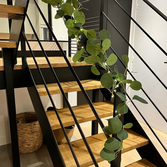 Guirlandes branches lumineuses d'eucalyptus à piles - 1,800 - 50 microled blanc chaud fixe - à piles - int/ext - chromex