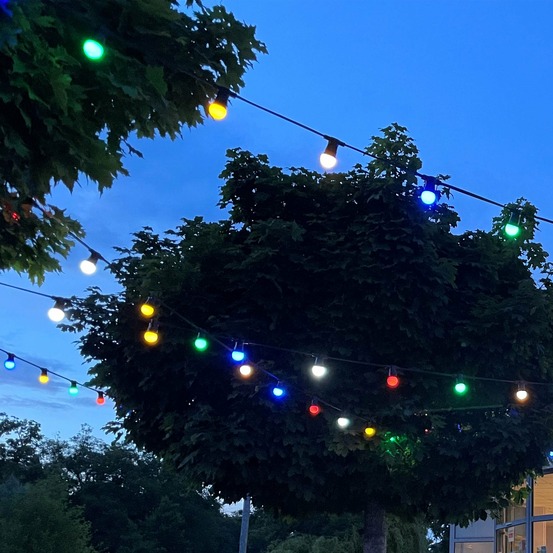 Guirlande guinguette b22 multicolore - 10m - 10 ampoules interchangeables - ip44 - chromex