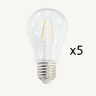 Pack de 5 ampoules e27 led blanc chaud  - type guinguette a60 - 2w - chromex