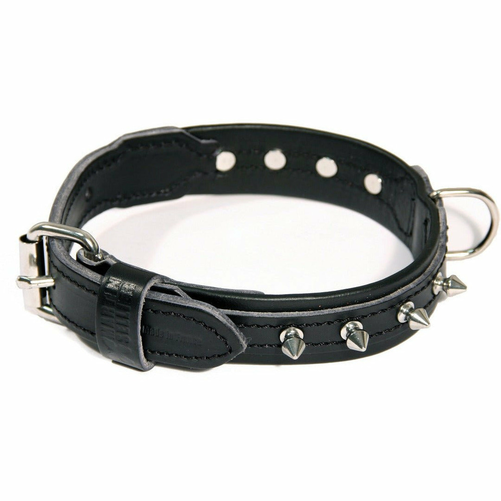 Collier pour chiens en cuir pleine fleur avec des clous