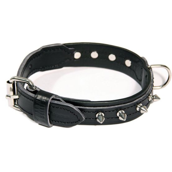 Collier pour chiens en cuir pleine fleur avec des clous