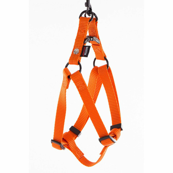 Harnais pour chiens : un style simple et efficace avec la collection nylon uni