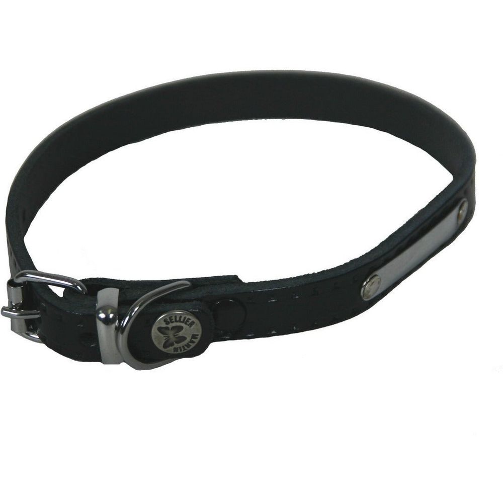 Collier pour chiens en cuir avec plaque d'identification