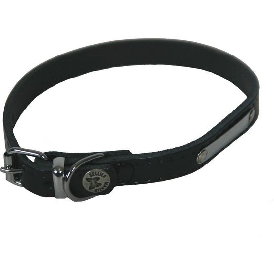 Collier pour chiens en cuir avec plaque d'identification