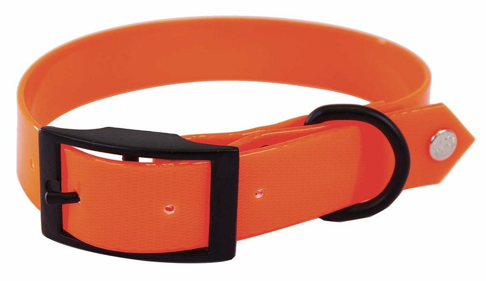 Collier en pvc fluo pour chiens de chasse