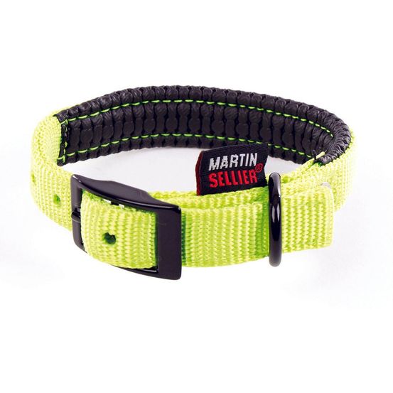 Collier pour chiens doublé de mousse