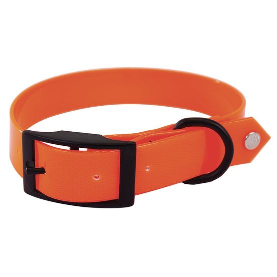 Collier en pvc fluo pour chiens de chasse