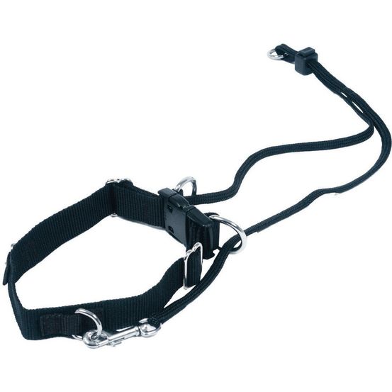 Harnais de marche pour chiens