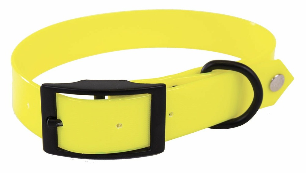 Collier en pvc fluo pour chiens de chasse