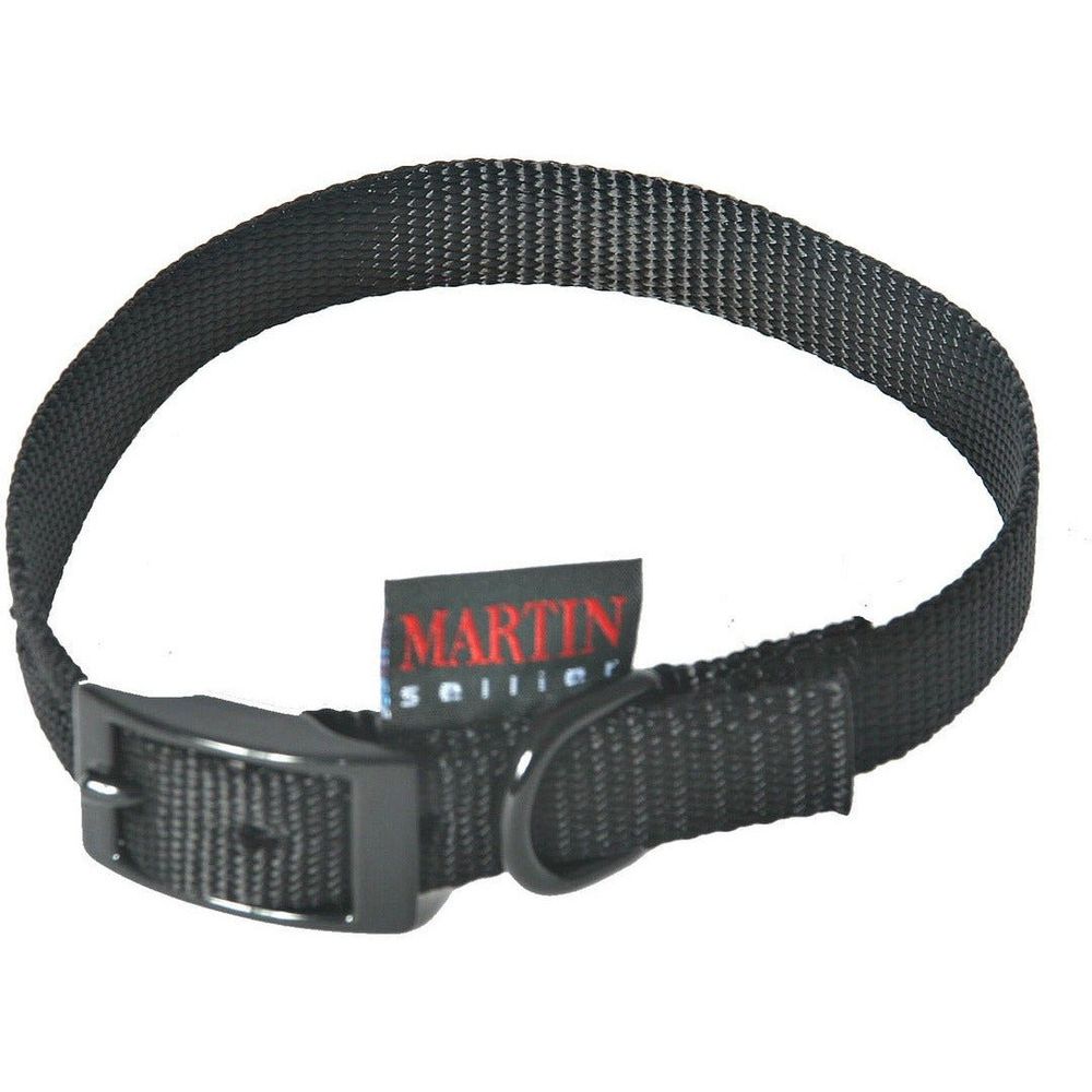 Collier pour chien parfait pour l'extérieur