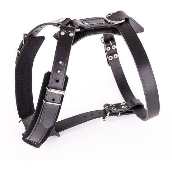 Harnais pour chien en cuir pleine fleur noir