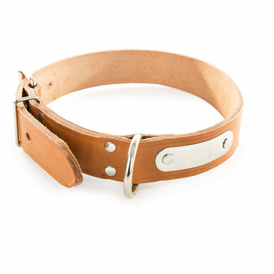 Collier pour chiens avec plaque d'identification en cuir pleine fleur