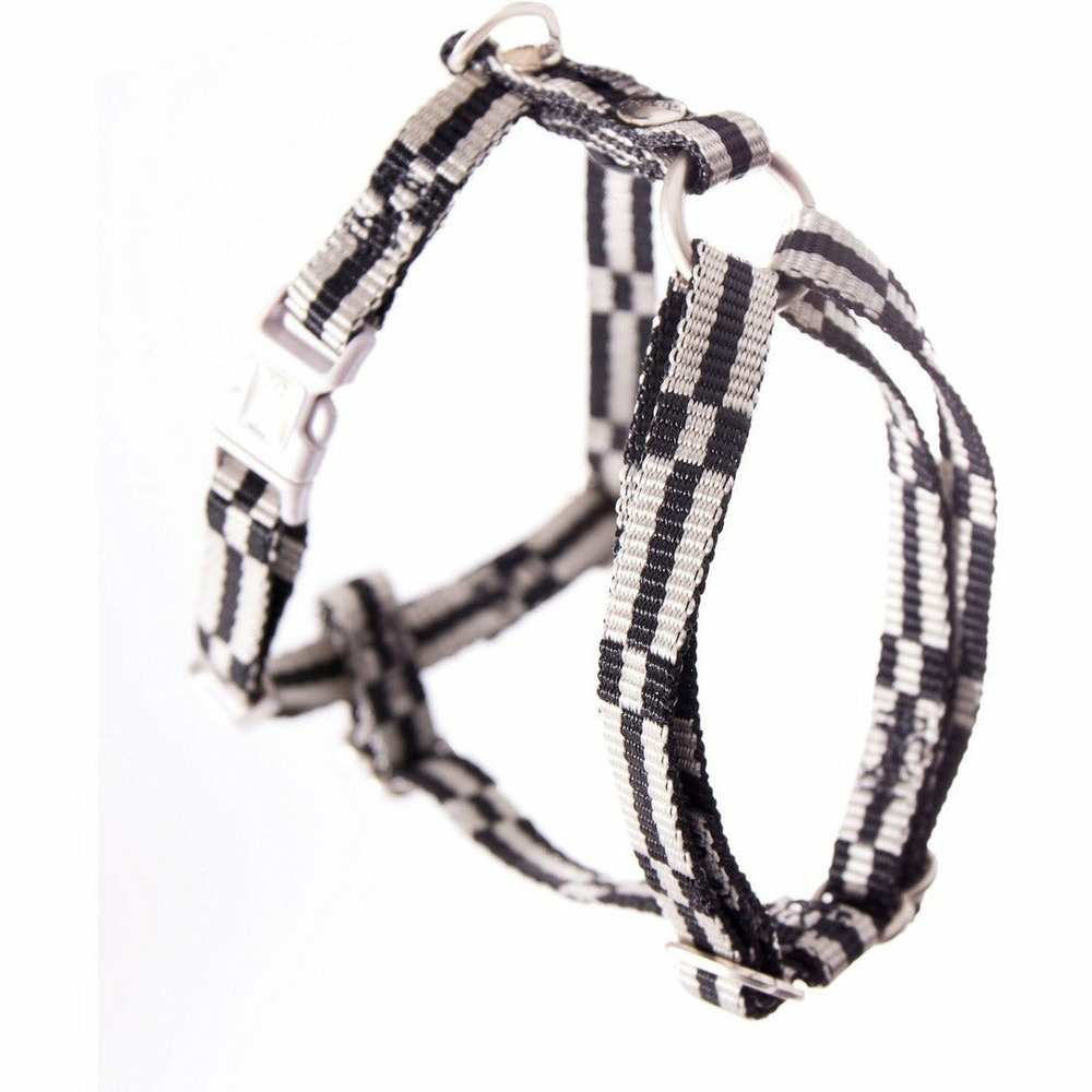 Harnais en nylon pour chiens | collection dream