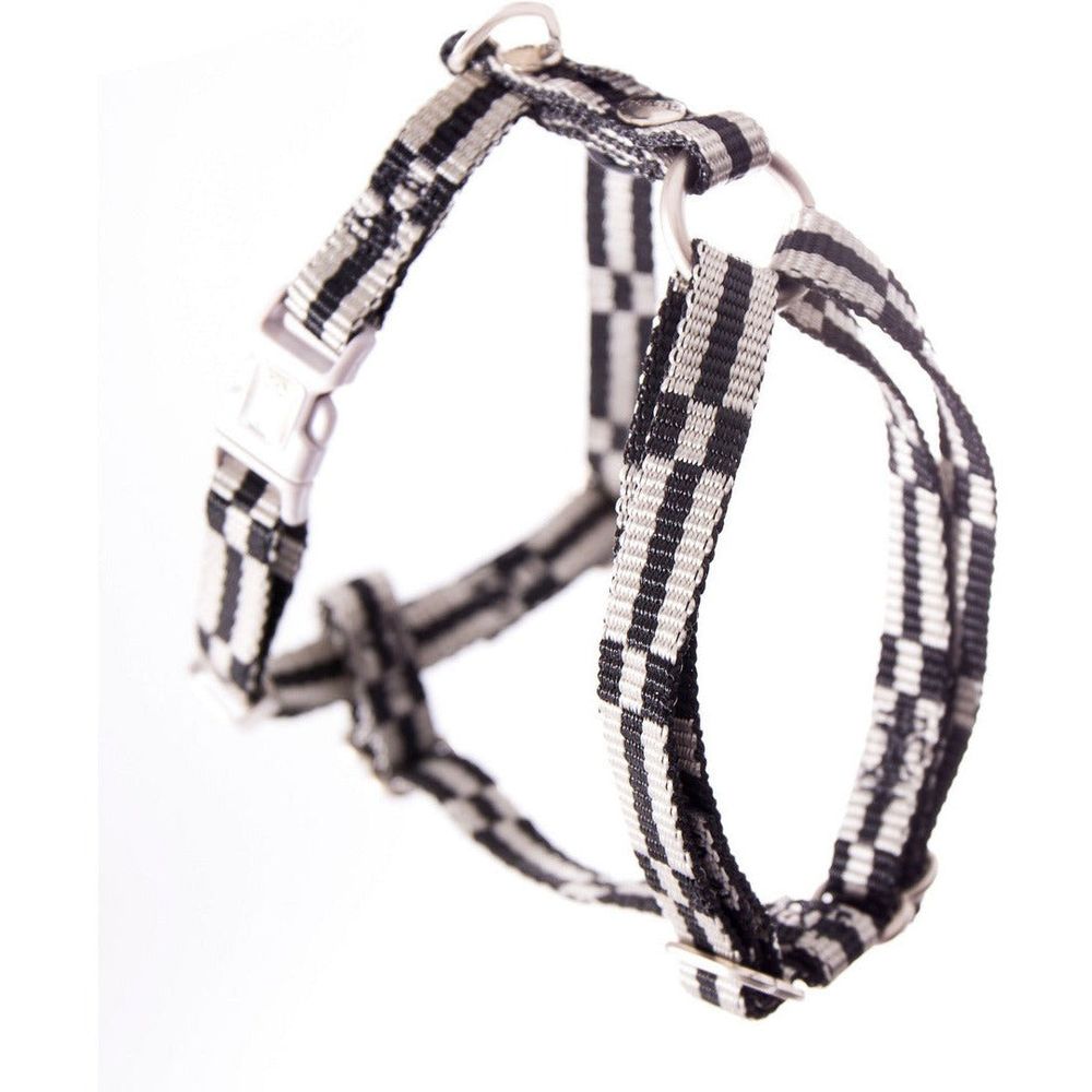 Harnais en nylon pour chiens | collection dream