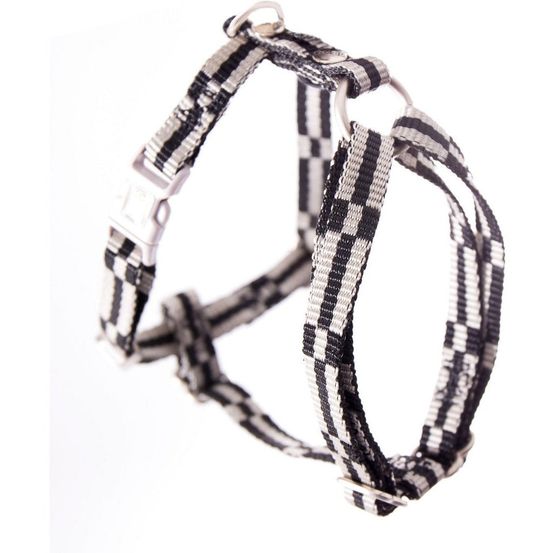 Harnais en nylon pour chiens | collection dream