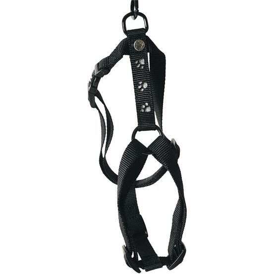 Harnais pour chien : résistant et durable