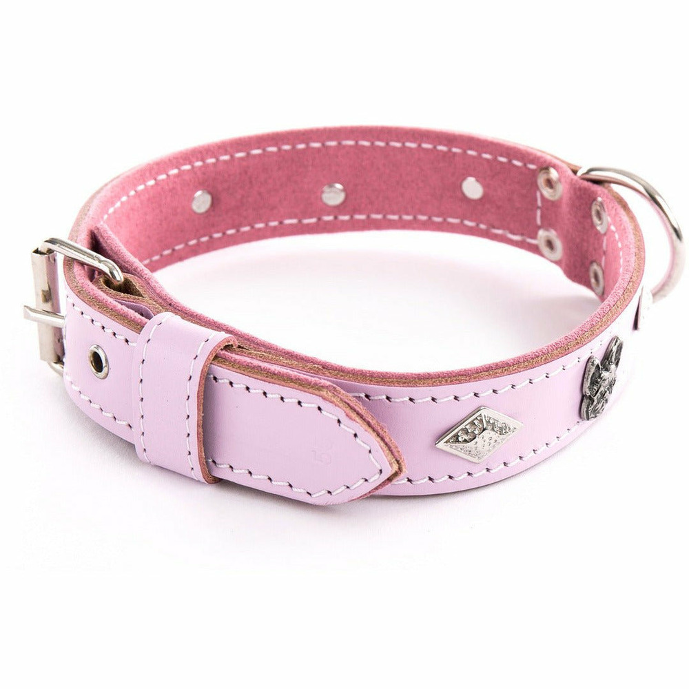 Collier en cuir pleine fleur pour bouledogue