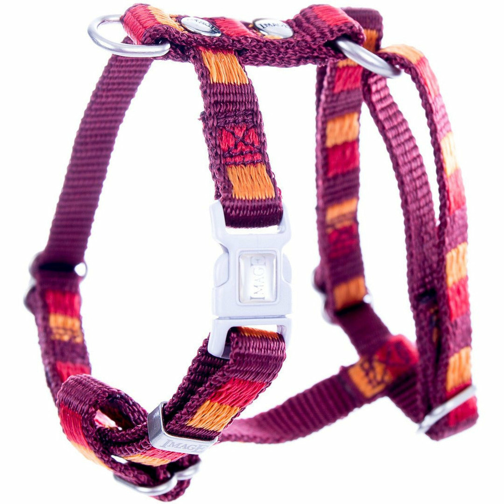 Harnais en nylon pour chiens | collection dream