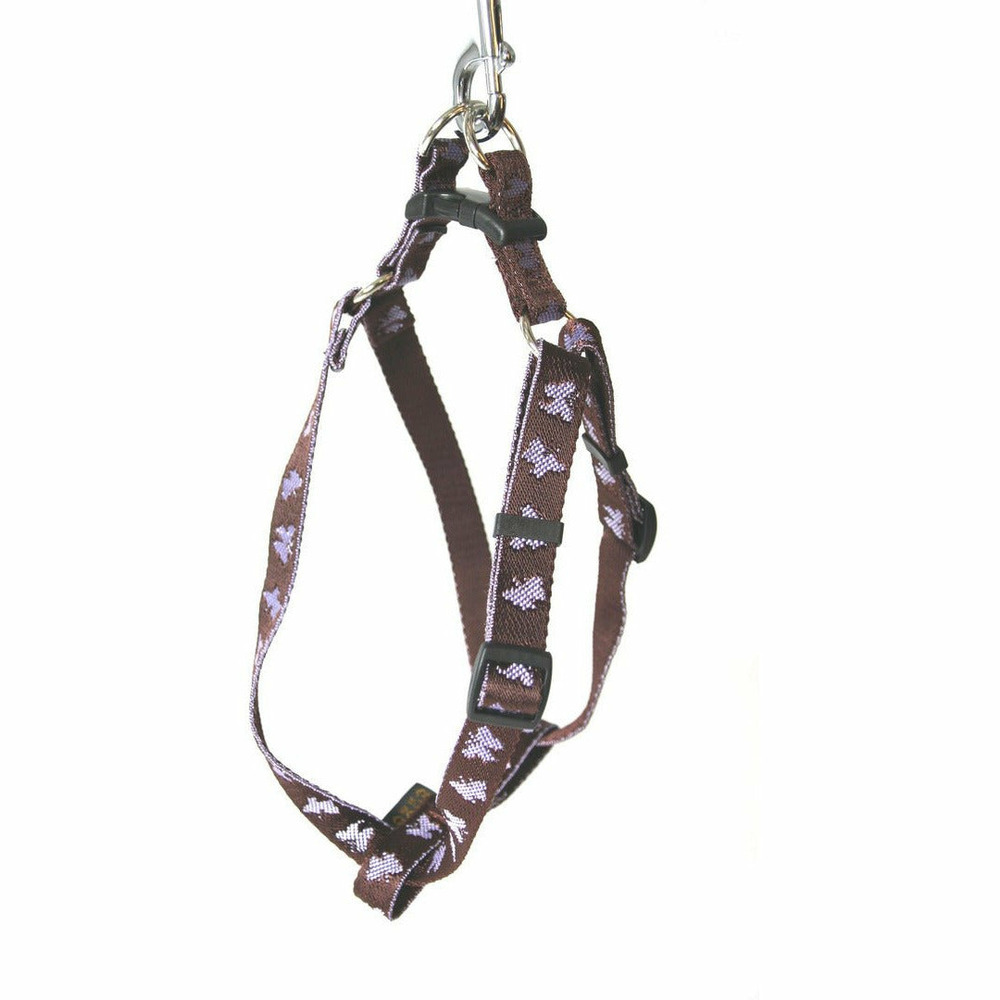 Harnais pour chiens en nylon arka haok - collection opéra
