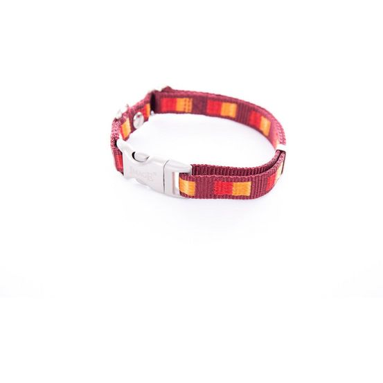Collier pour chiens en nylon image coloris bariolés