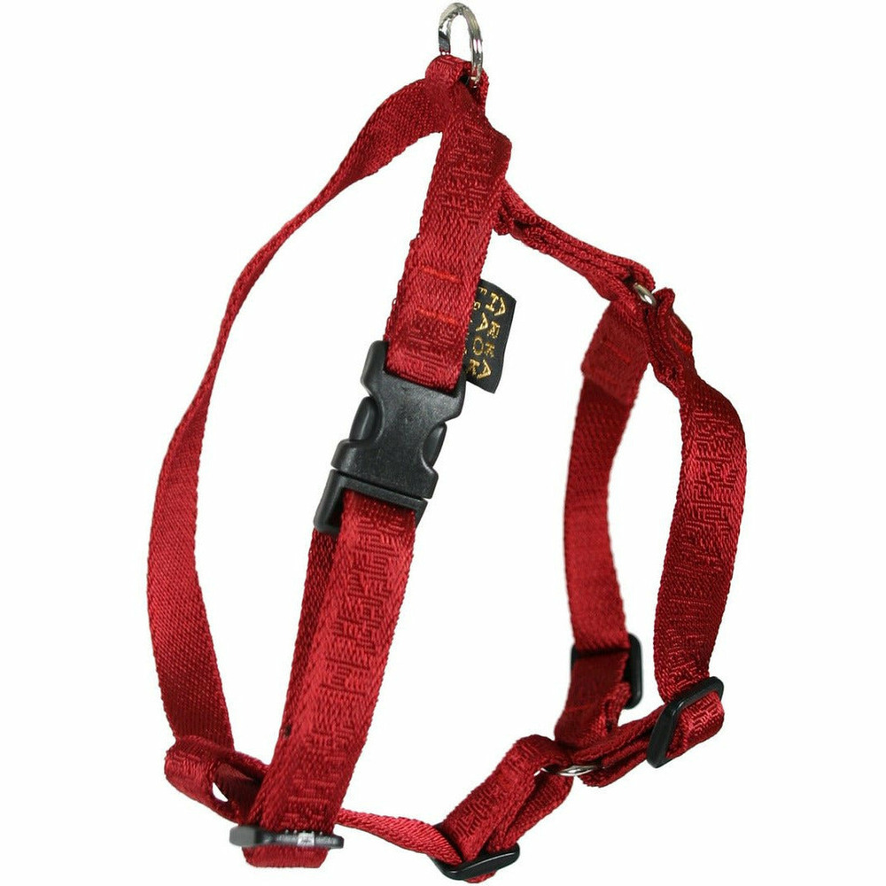 Harnais pour chiens arka haok - collection rubis